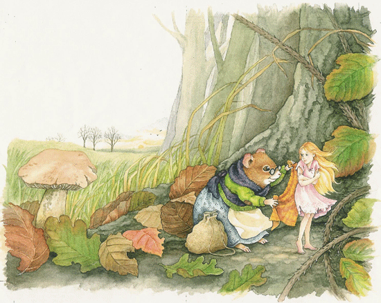 Harvest Mouse and the Fairy